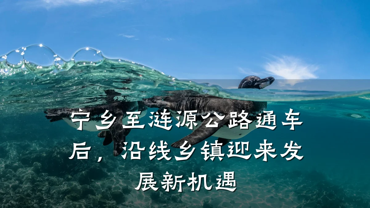 宁乡至涟源公路通车后,沿线乡镇迎来发展新机遇