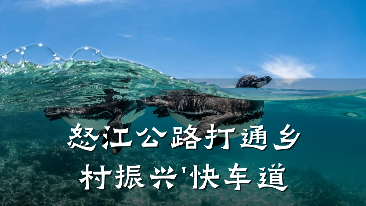 怒江公路打通乡村振兴'快车道