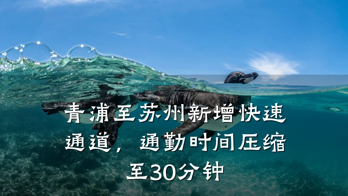 青浦至苏州新增快速通道,通勤时间压缩至30分钟