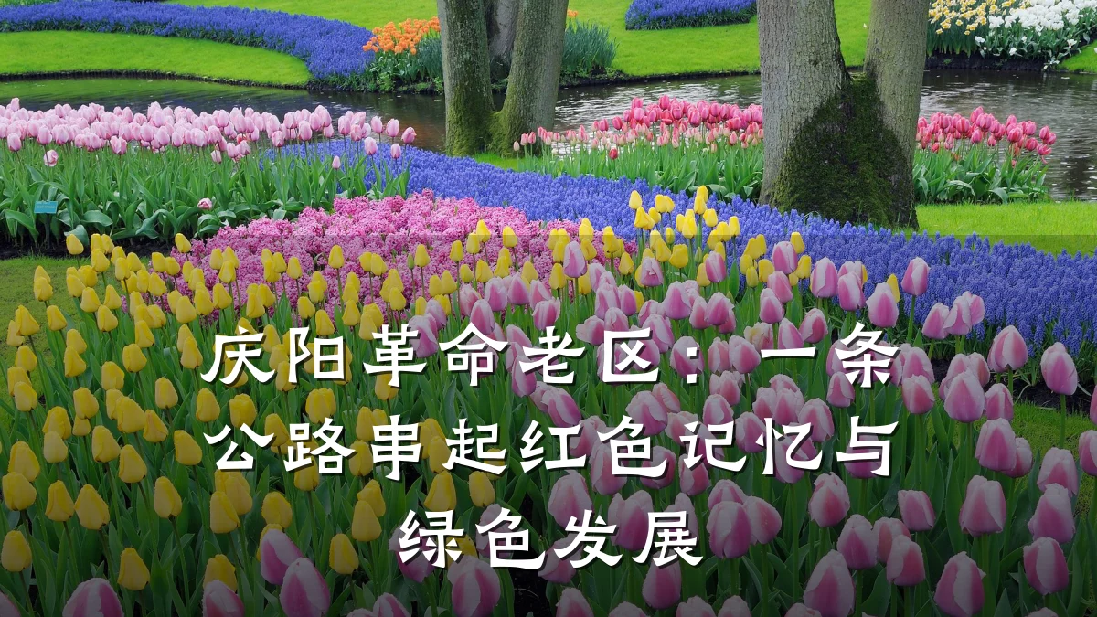 庆阳革命老区:一条公路串起红色记忆与绿色发展
