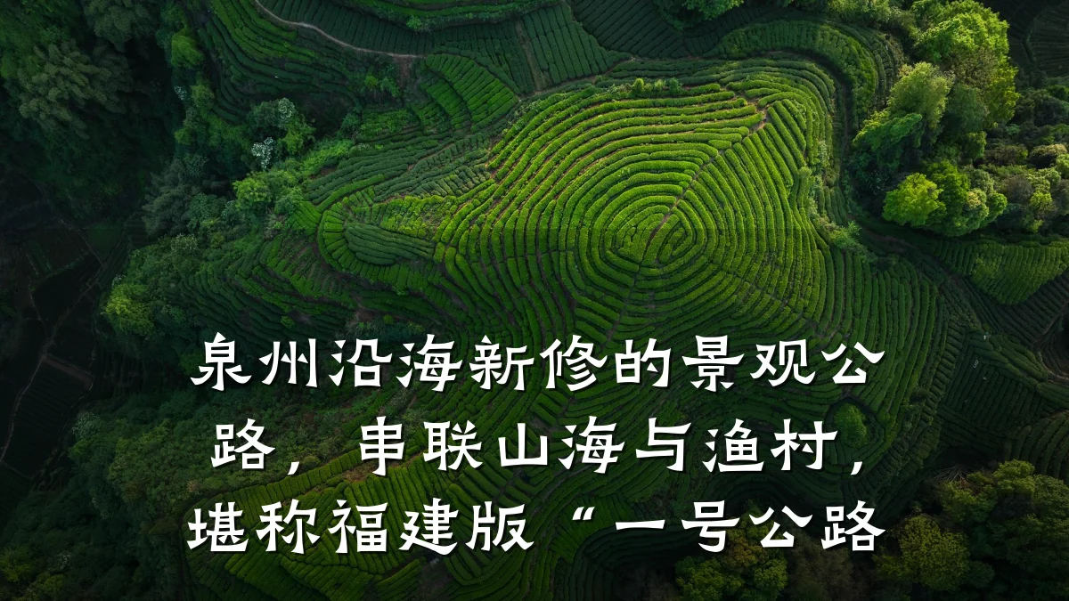 泉州沿海新修的景观公路,串联山海与渔村,堪称福建版“一号公路