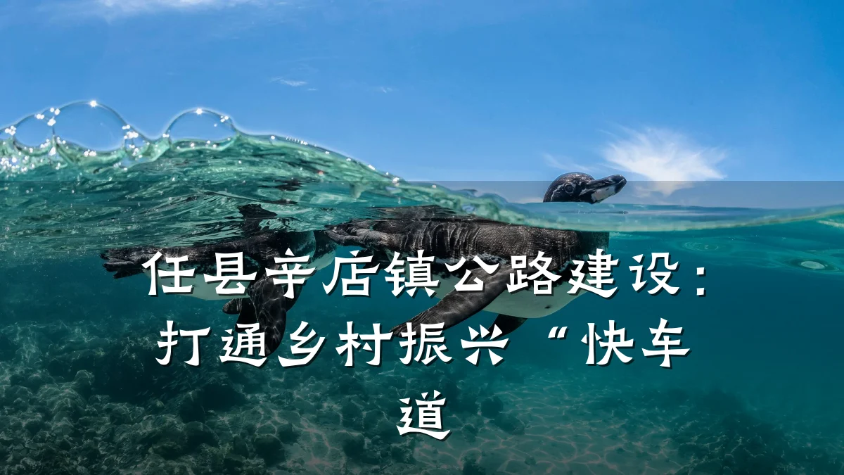 任县辛店镇公路建设:打通乡村振兴“快车道