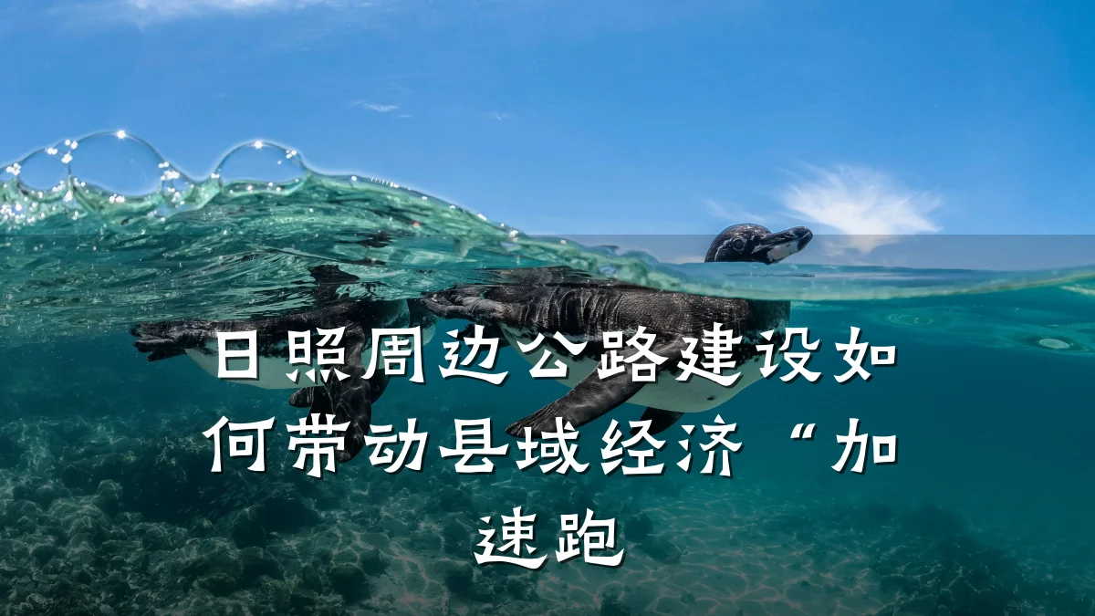 日照周边公路建设如何带动县域经济“加速跑