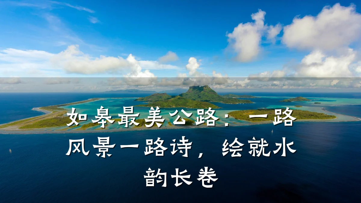 如皋最美公路:一路风景一路诗,绘就水韵长卷