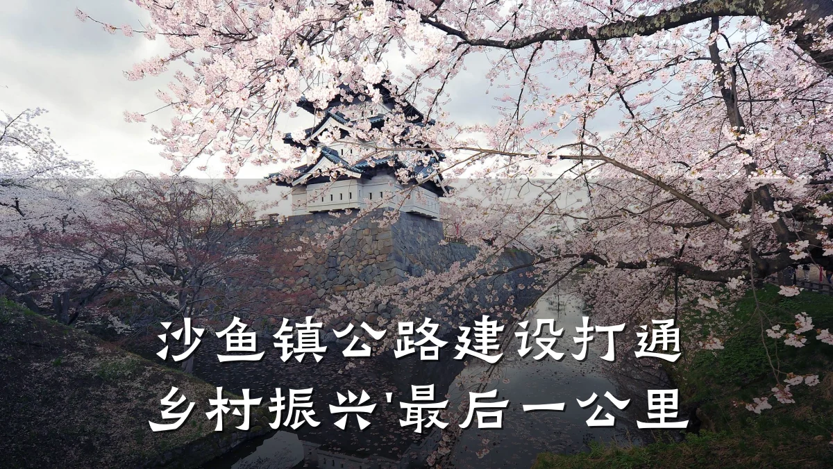 沙鱼镇公路建设打通乡村振兴'最后一公里