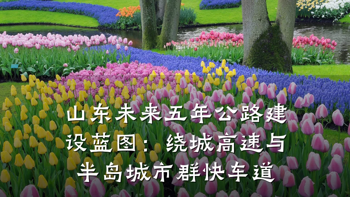 山东未来五年公路建设蓝图:绕城高速与半岛城市群快车道