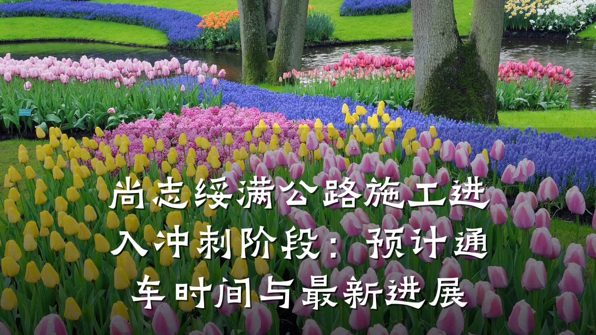 尚志绥满公路施工进入冲刺阶段:预计通车时间与最新进展