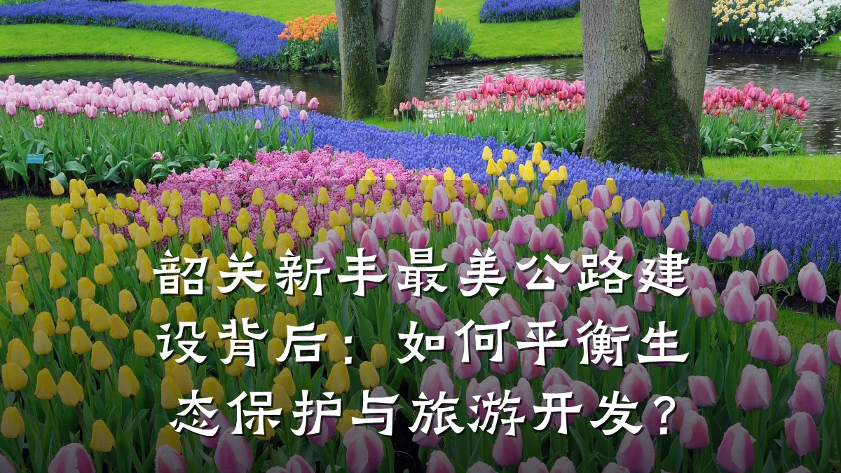 韶关新丰最美公路建设背后:如何平衡生态保护与旅游开发?