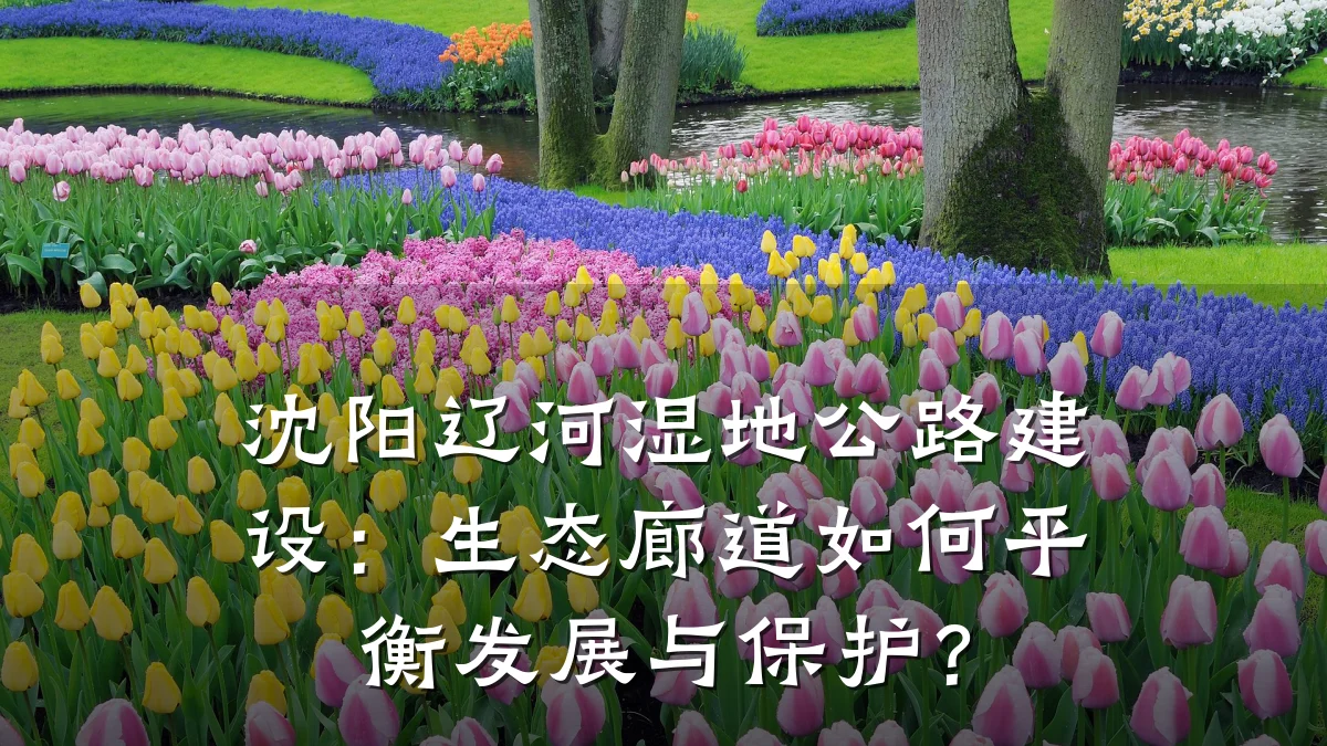 沈阳辽河湿地公路建设:生态廊道如何平衡发展与保护?