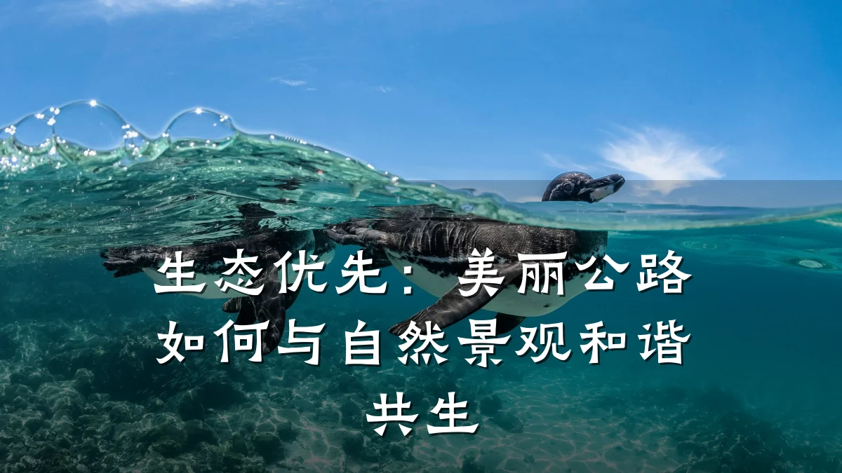 生态优先:美丽公路如何与自然景观和谐共生