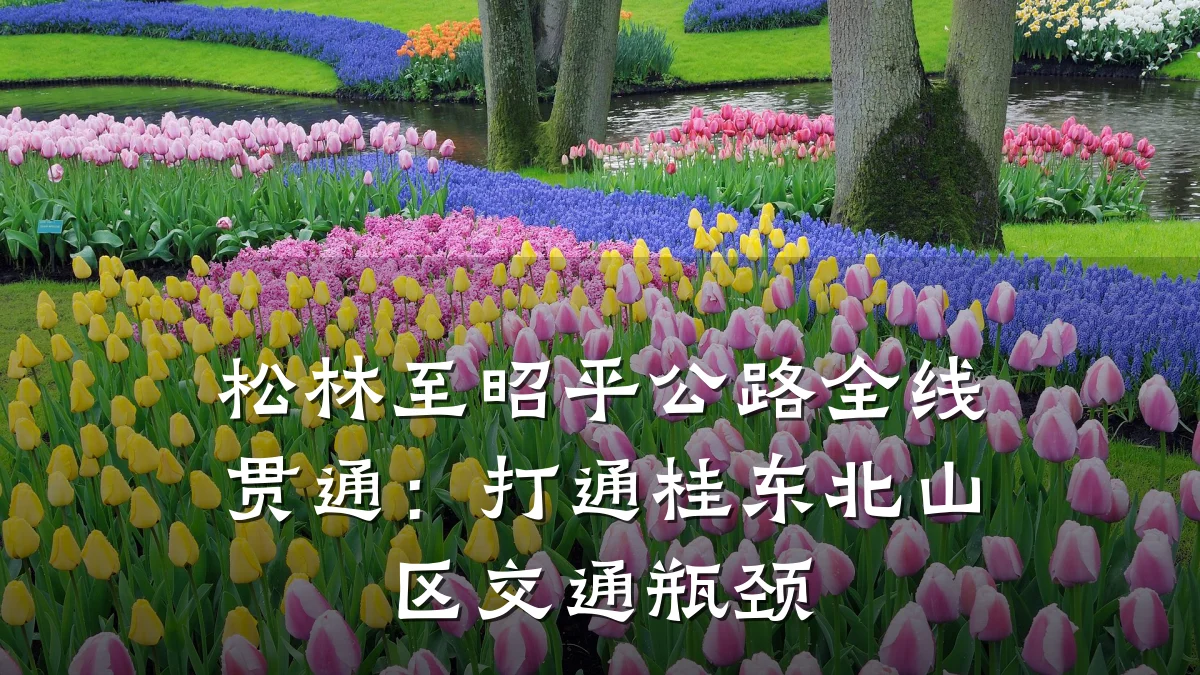 松林至昭平公路全线贯通:打通桂东北山区交通瓶颈