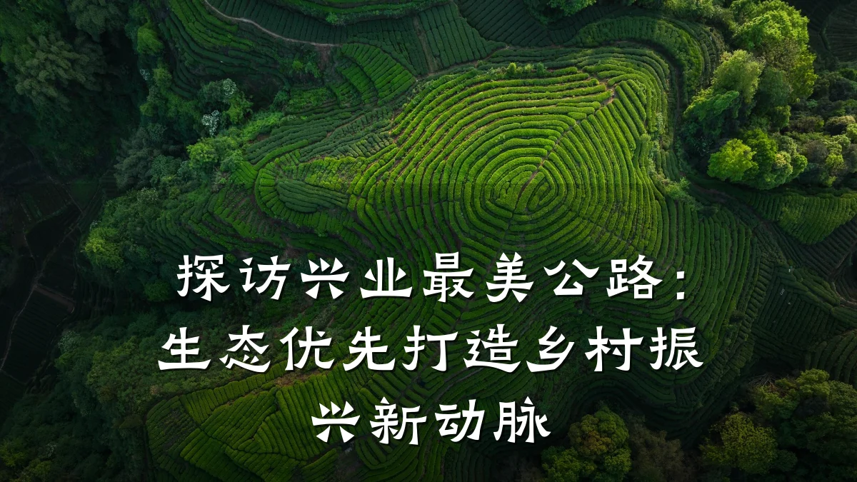 探访兴业最美公路：生态优先打造乡村振兴新动脉