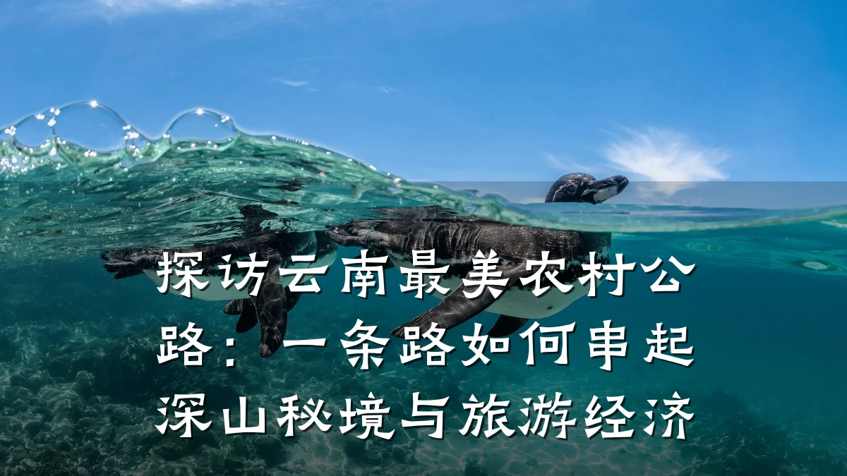 探访云南最美农村公路:一条路如何串起深山秘境与旅游经济