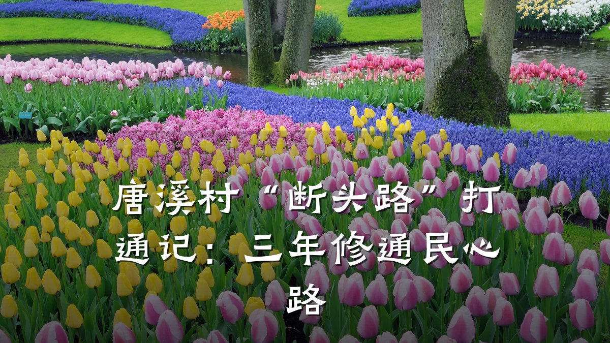唐溪村“断头路”打通记:三年修通民心路