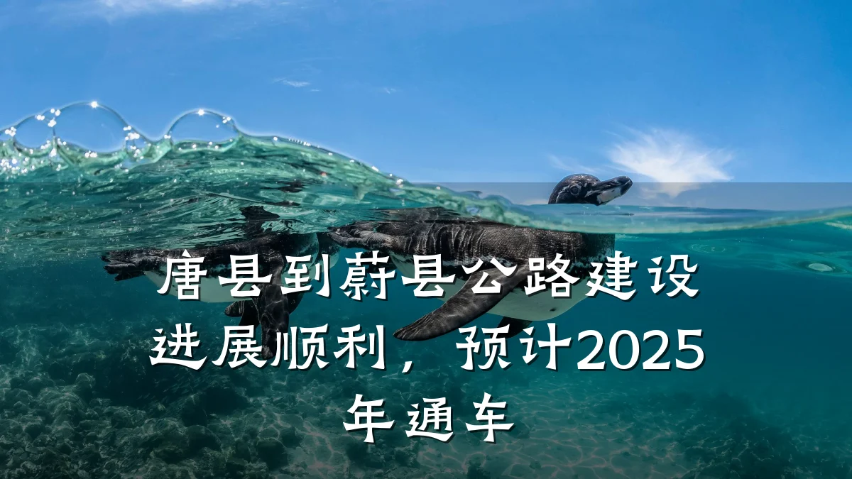 唐县到蔚县公路建设进展顺利,预计2025年通车