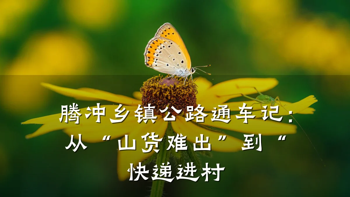 腾冲乡镇公路通车记:从“山货难出”到“快递进村