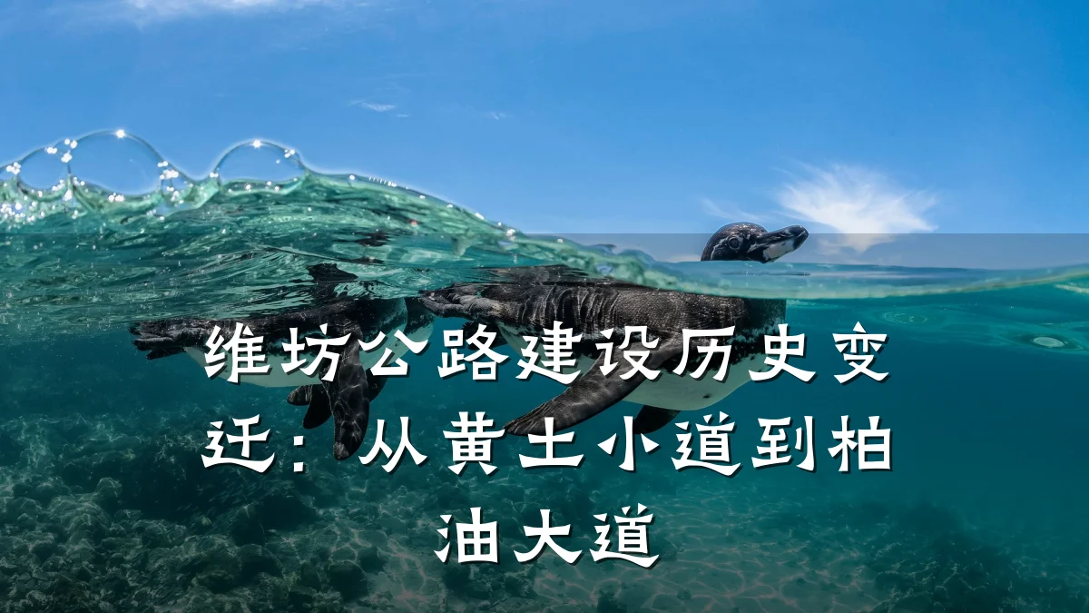 维坊公路建设历史变迁:从黄土小道到柏油大道