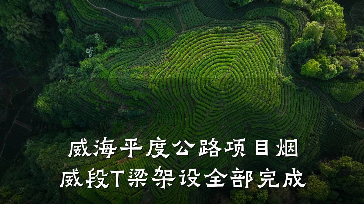 威海平度公路项目烟威段T梁架设全部完成