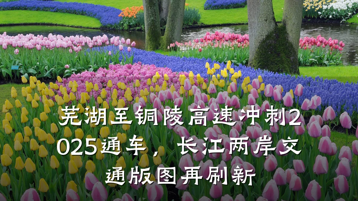 芜湖至铜陵高速冲刺2025通车,长江两岸交通版图再刷新