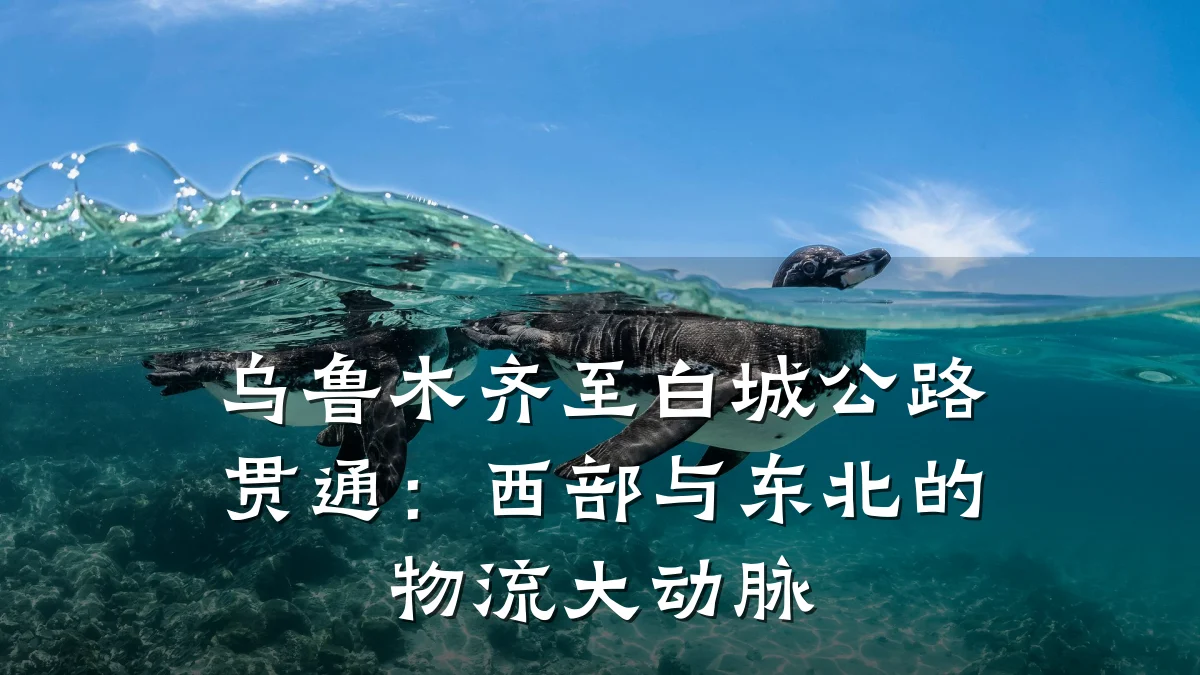 乌鲁木齐至白城公路贯通：西部与东北的物流大动脉