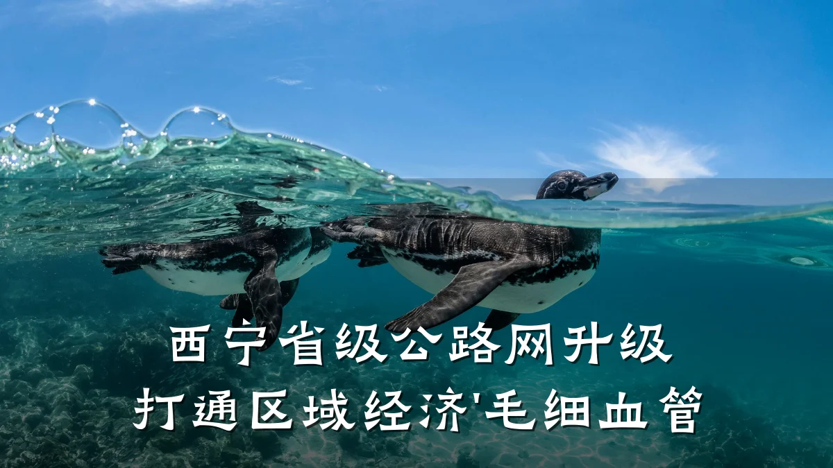 西宁省级公路网升级 打通区域经济'毛细血管