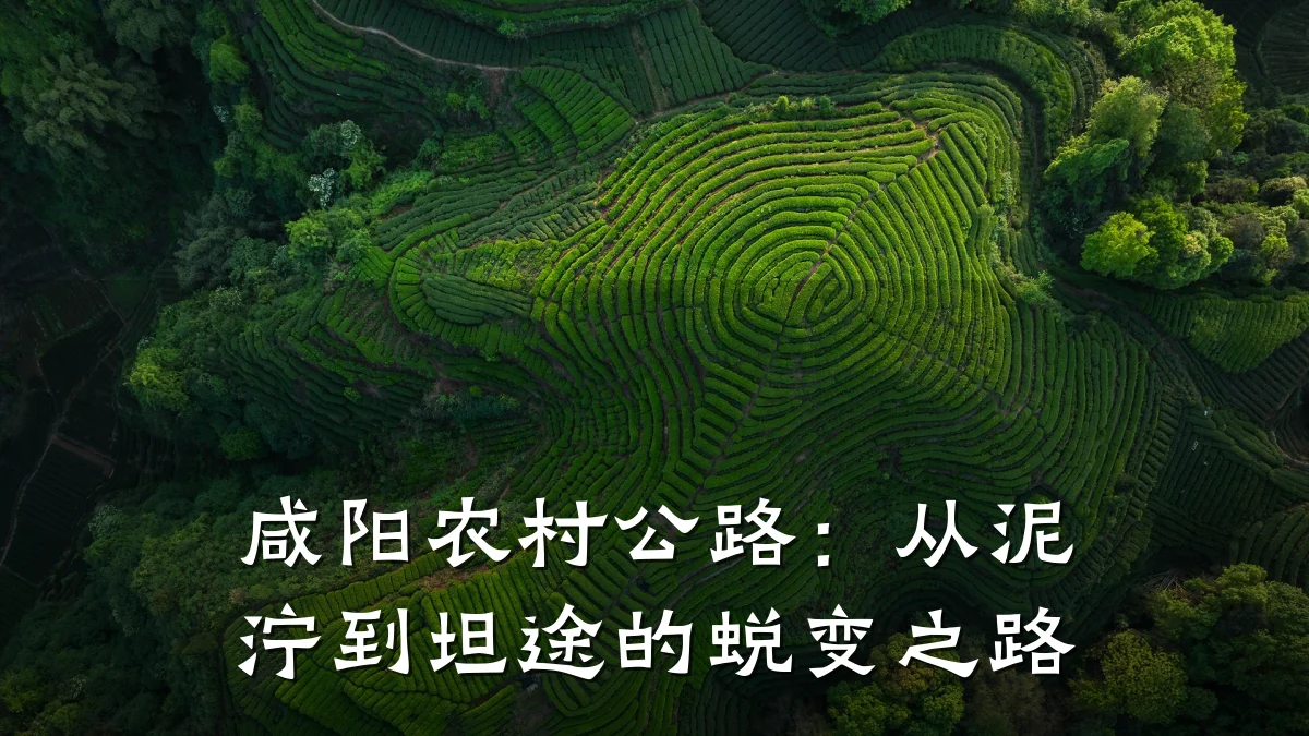 咸阳农村公路：从泥泞到坦途的蜕变之路