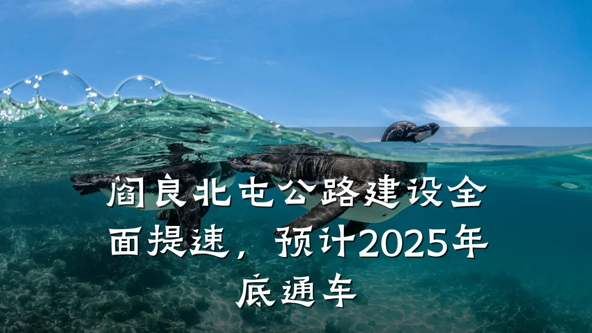 阎良北屯公路建设全面提速,预计2025年底通车