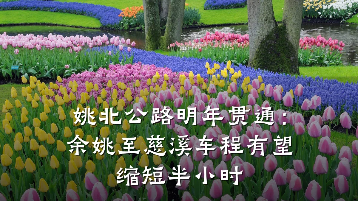 姚北公路明年贯通：余姚至慈溪车程有望缩短半小时