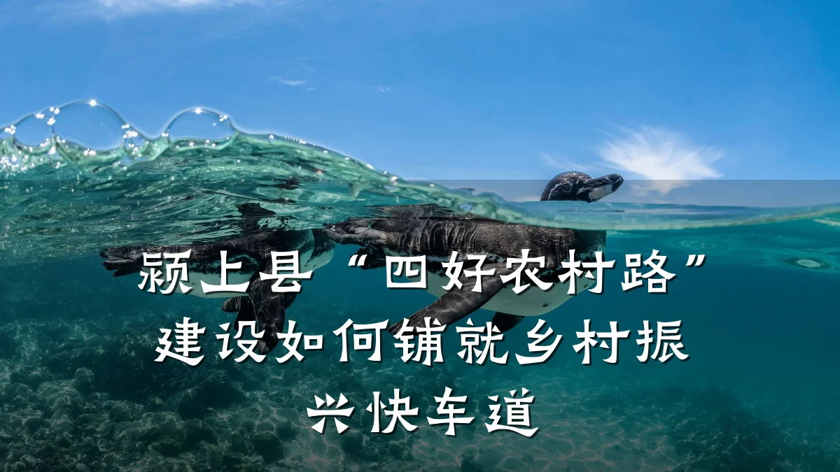 颍上县“四好农村路”建设如何铺就乡村振兴快车道