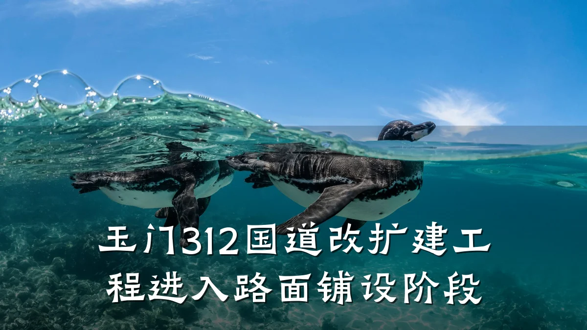 玉门312国道改扩建工程进入路面铺设阶段
