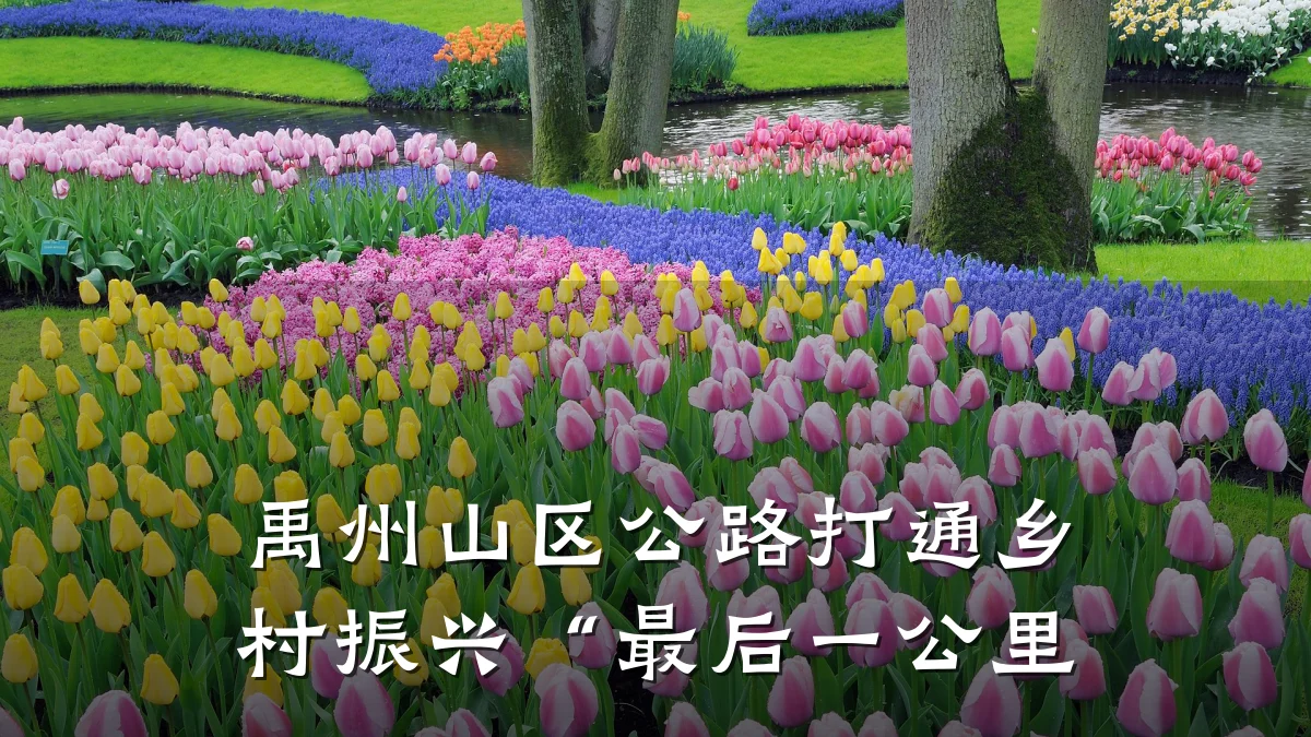 禹州山区公路打通乡村振兴“最后一公里
