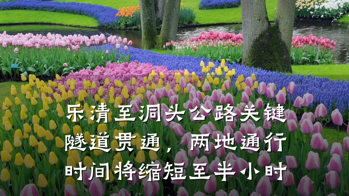 乐清至洞头公路关键隧道贯通,两地通行时间将缩短至半小时