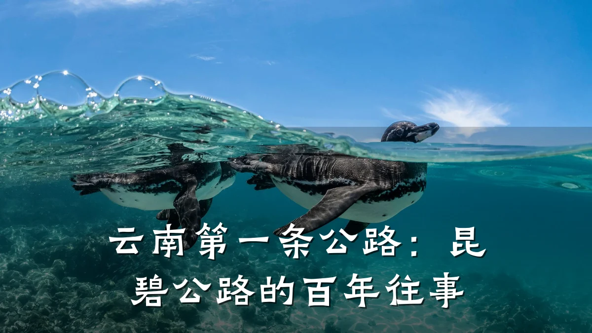 云南第一条公路:昆碧公路的百年往事