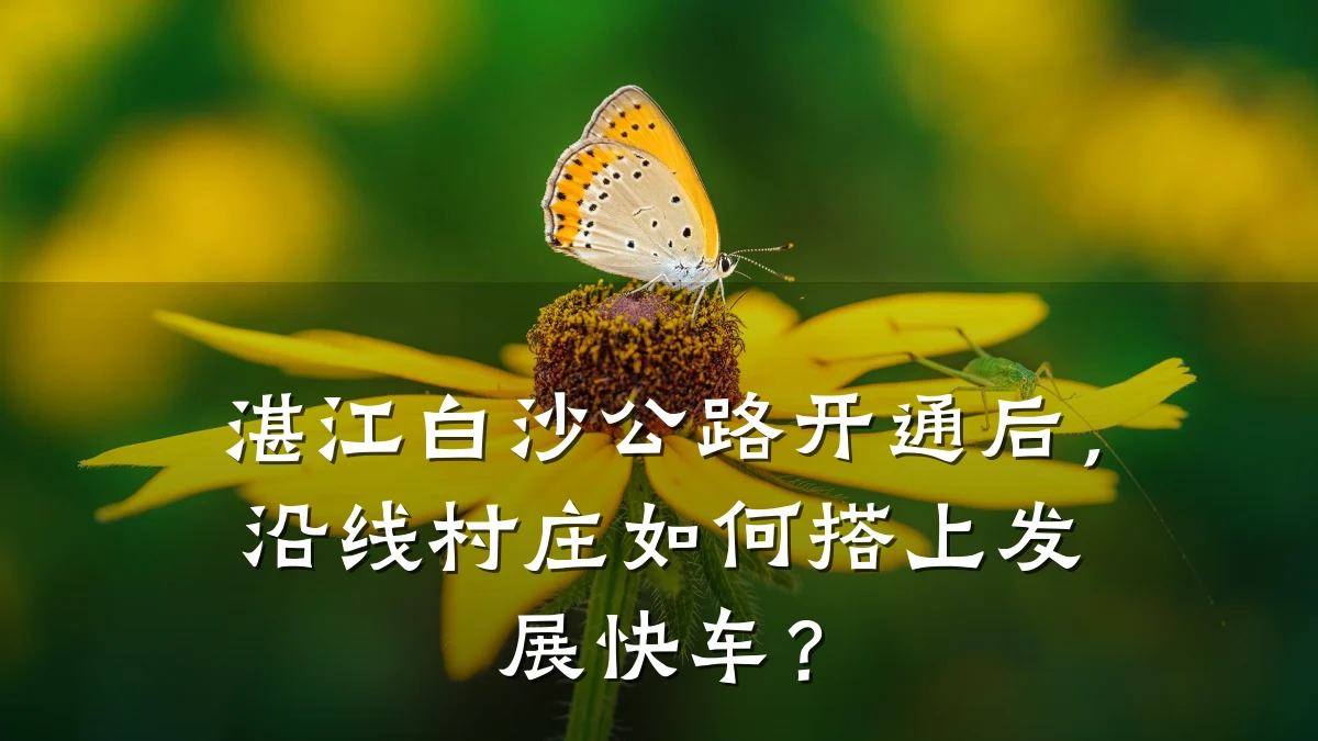 湛江白沙公路开通后,沿线村庄如何搭上发展快车?