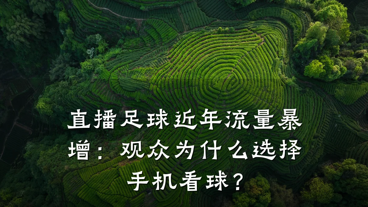 直播足球近年流量暴增：观众为什么选择手机看球？