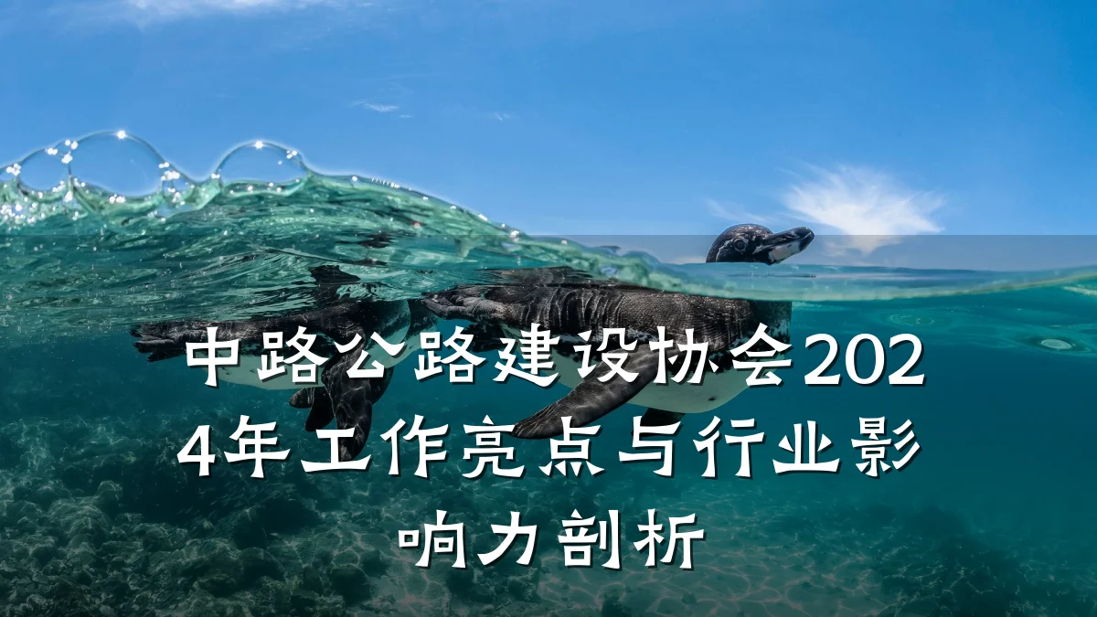 中路公路建设协会2024年工作亮点与行业影响力剖析