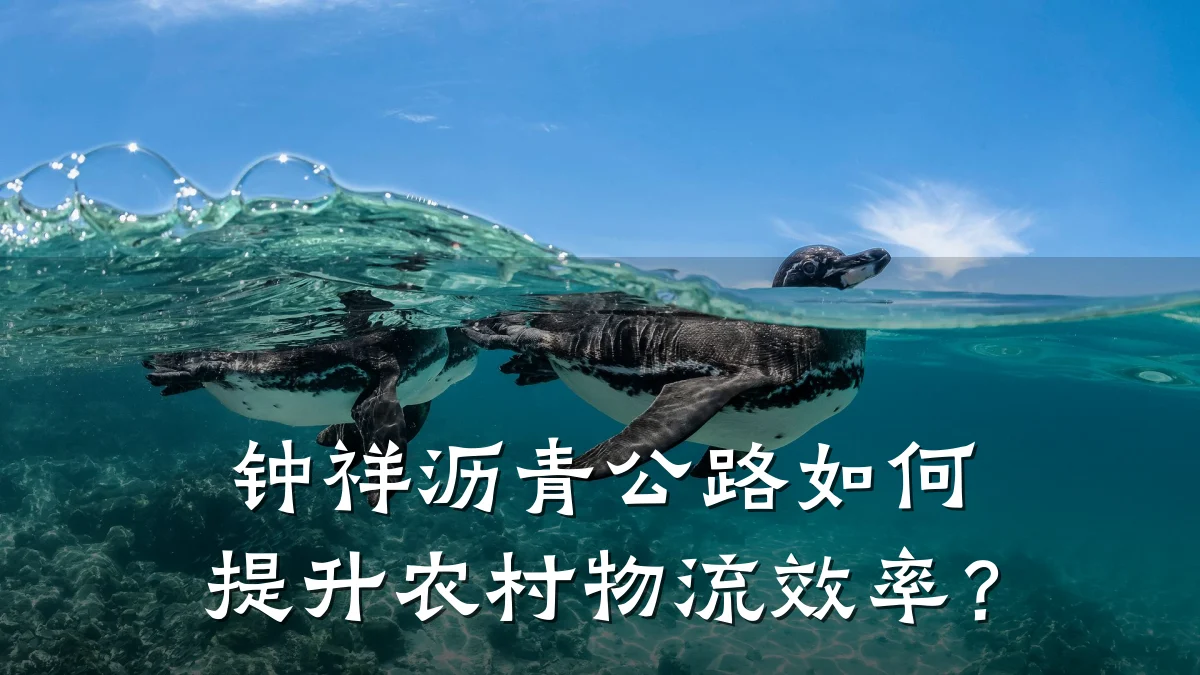 钟祥沥青公路如何提升农村物流效率?