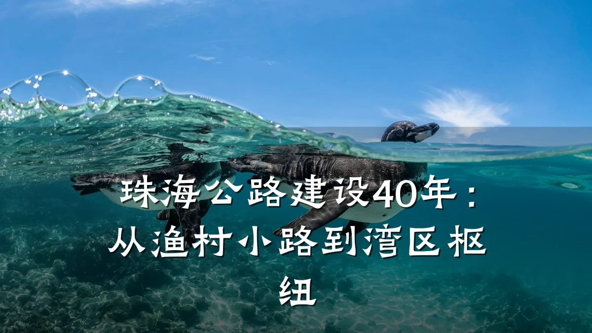 珠海公路建设40年:从渔村小路到湾区枢纽