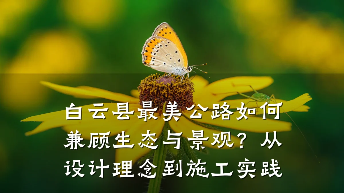白云县最美公路如何兼顾生态与景观？从设计理念到施工实践