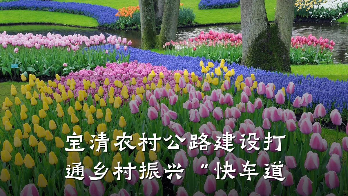 宝清农村公路建设打通乡村振兴“快车道