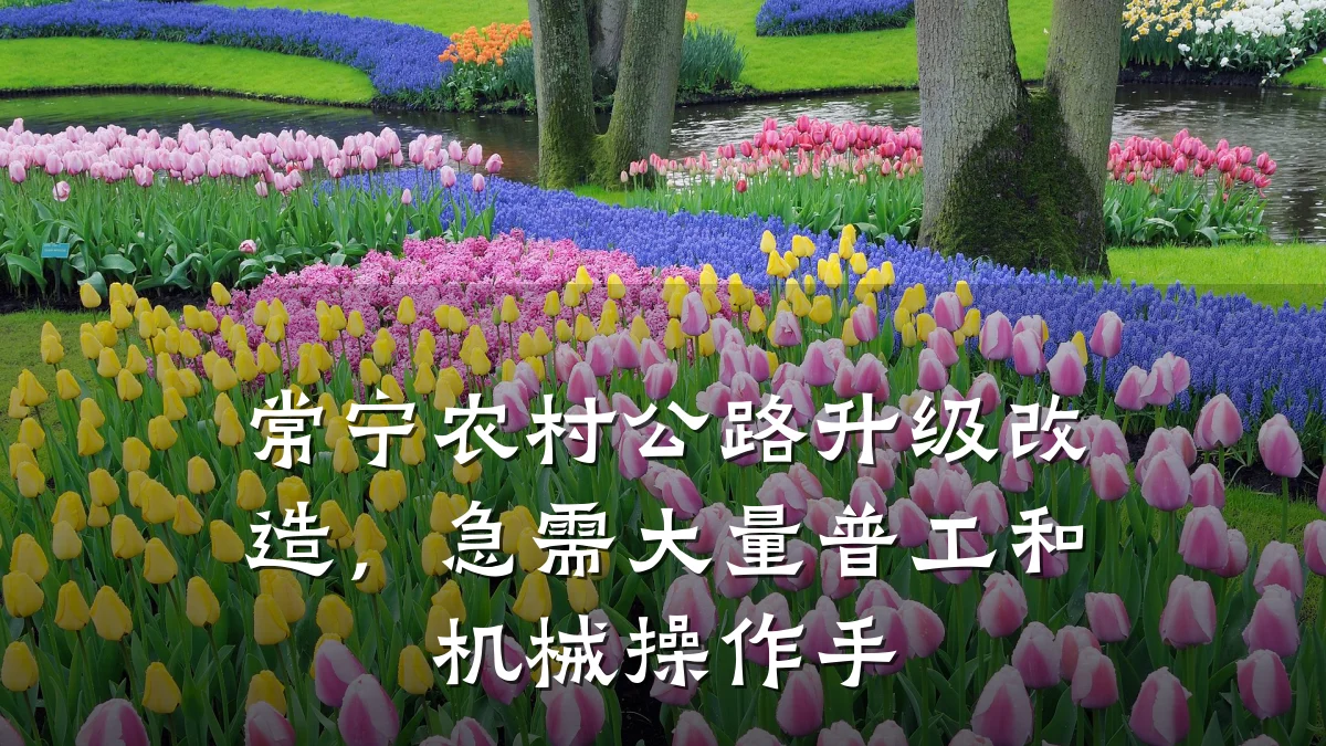 常宁农村公路升级改造,急需大量普工和机械操作手