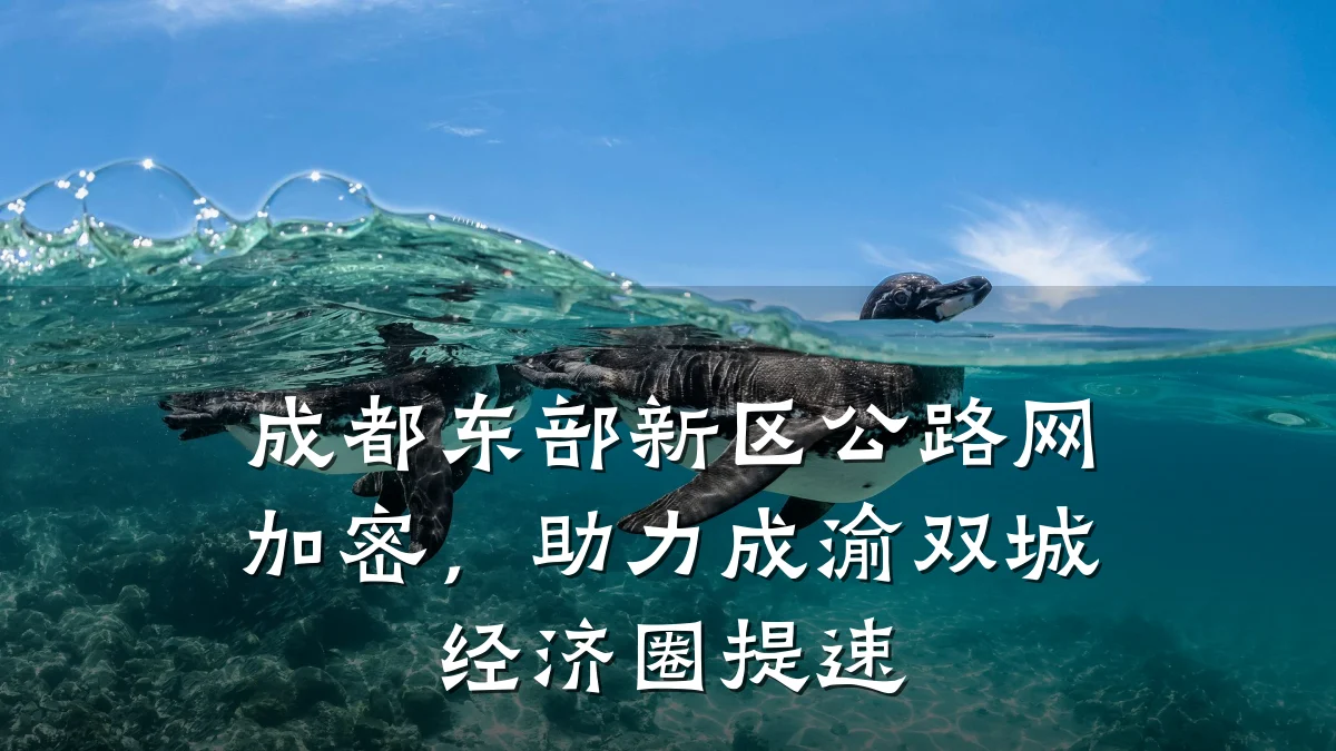 成都东部新区公路网加密,助力成渝双城经济圈提速
