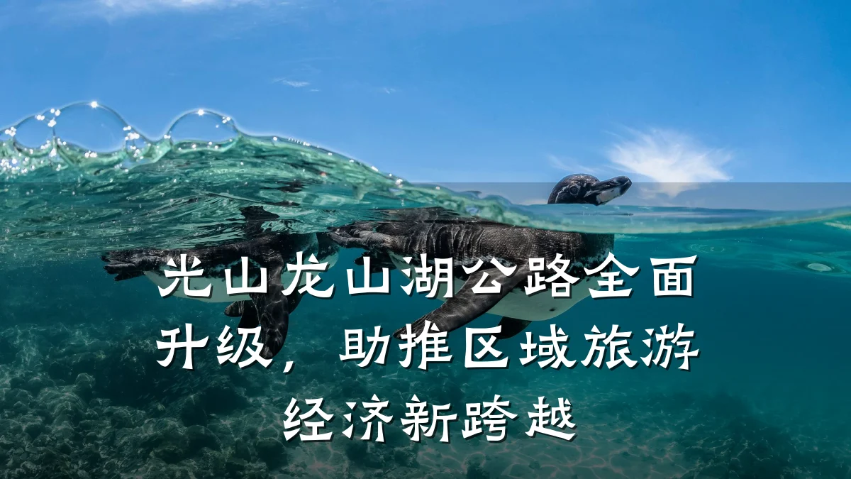 光山龙山湖公路全面升级,助推区域旅游经济新跨越