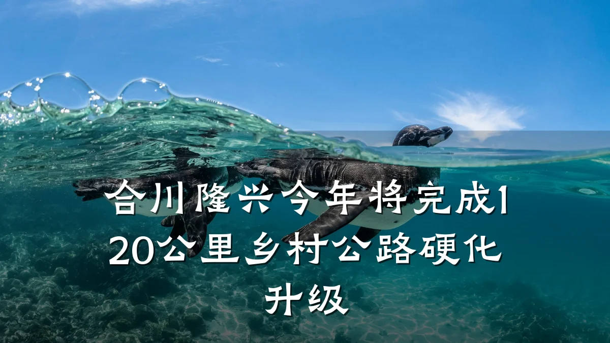 合川隆兴今年将完成120公里乡村公路硬化升级