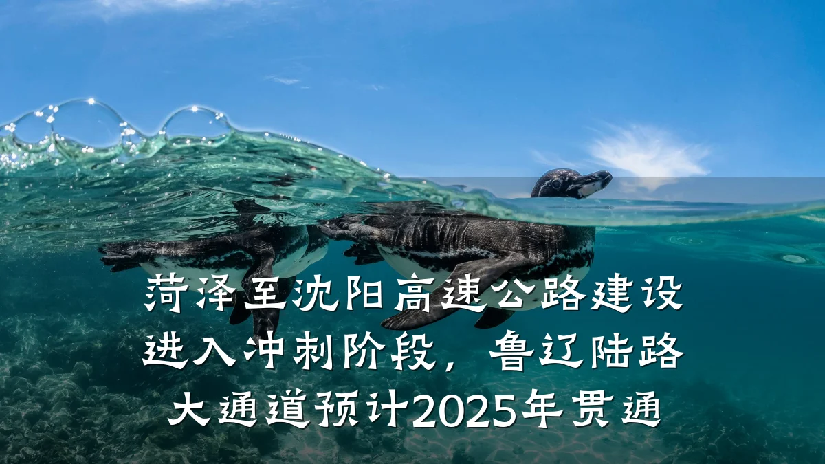 菏泽至沈阳高速公路建设进入冲刺阶段，鲁辽陆路大通道预计2025年贯通