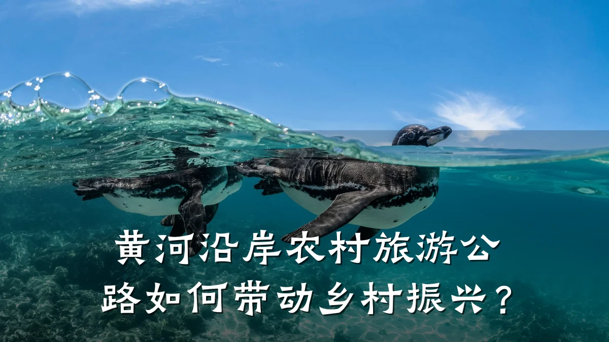 黄河沿岸农村旅游公路如何带动乡村振兴?