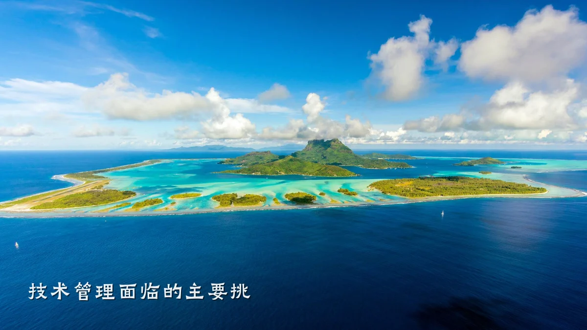 技术管理面临的主要挑