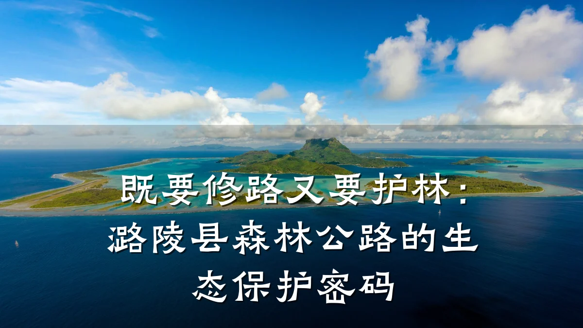 既要修路又要护林:潞陵县森林公路的生态保护密码
