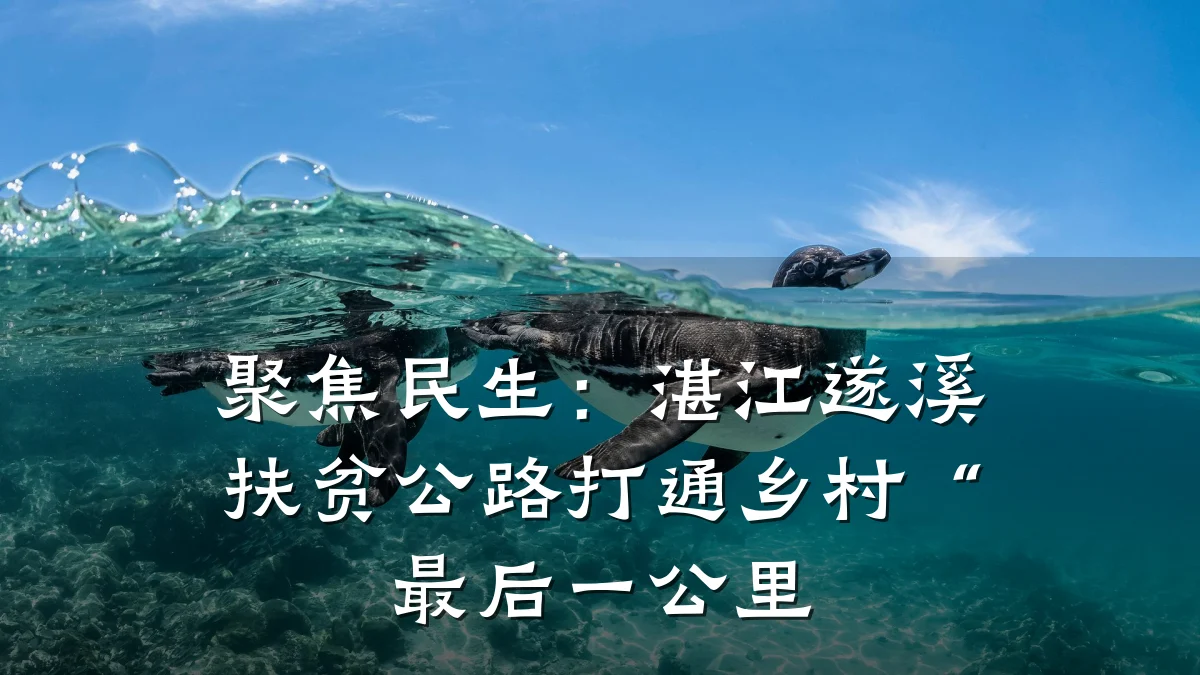 聚焦民生:湛江遂溪扶贫公路打通乡村“最后一公里