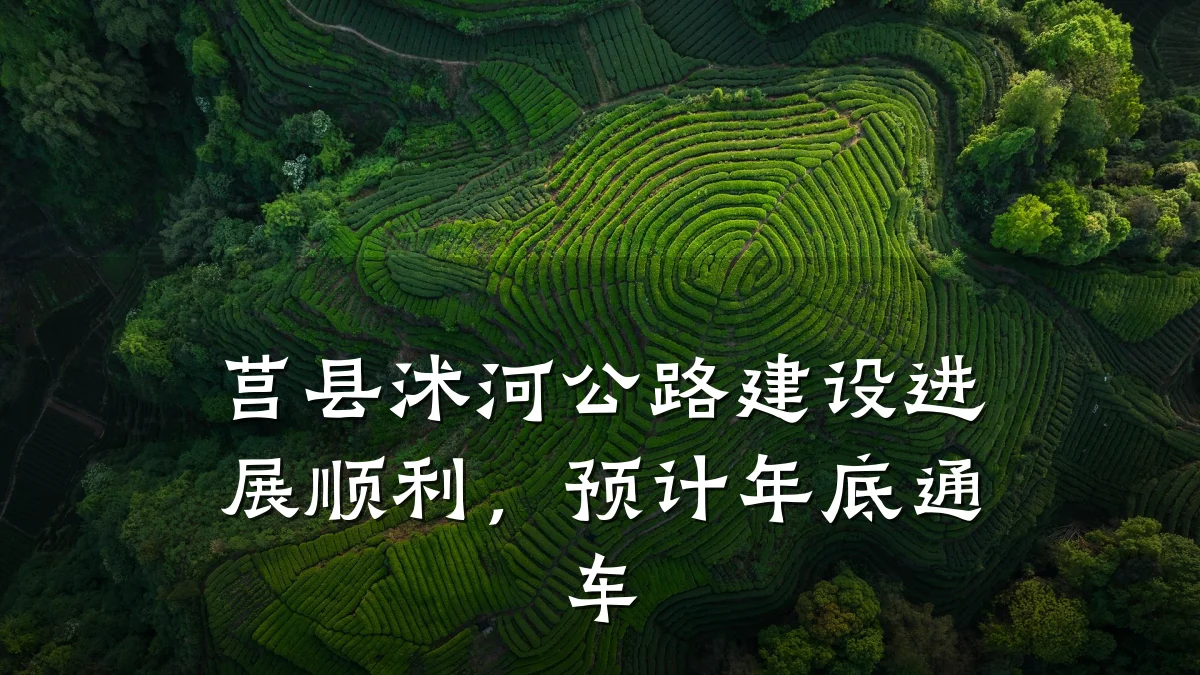 莒县沭河公路建设进展顺利,预计年底通车